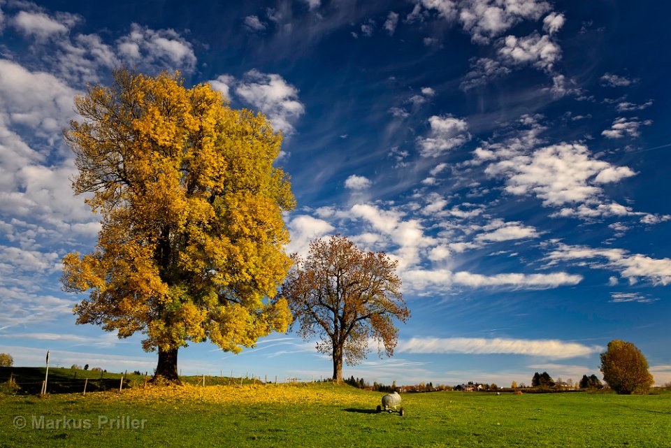 2013.10.26 093127 Herbst Rundfahrt Landsberg